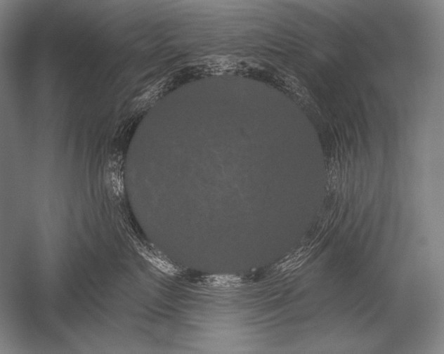 X0000051260719200507082217