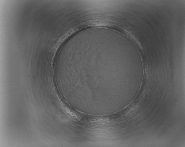 X0000051260721200507082216