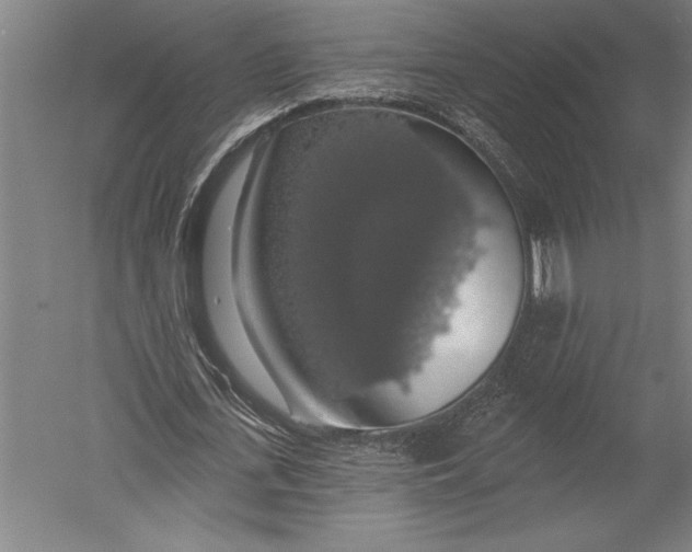 X0000051260723200507082216
