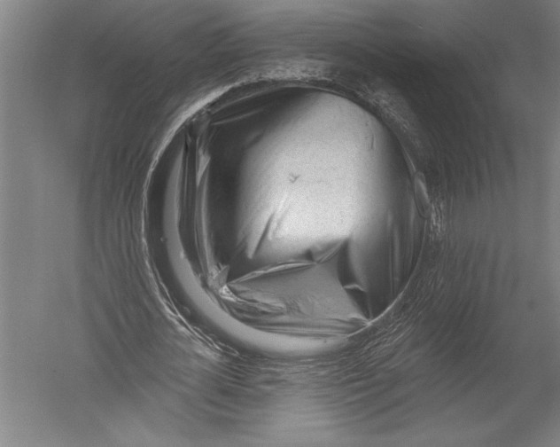 X0000051260724200507082216