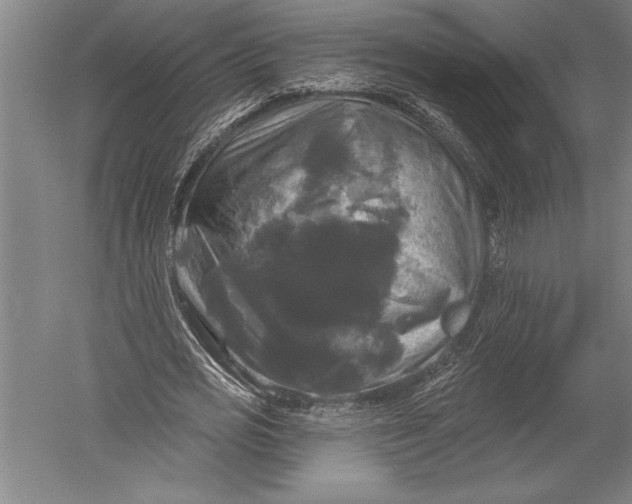 X0000051260725200507082216