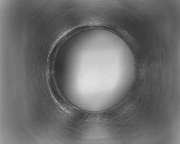 X0000051260728200507082216