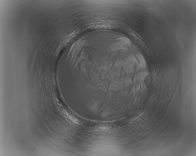 X0000051260729200507082216