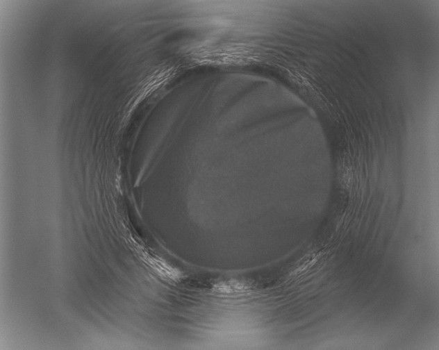 X0000051260735200507082216