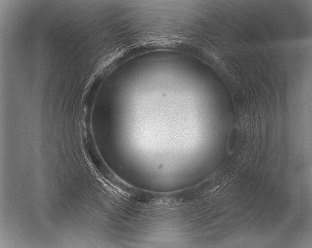 X0000051260736200507082216