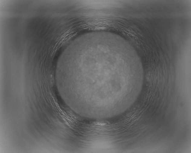 X0000051260743200507082216
