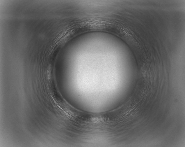 X0000051260744200507082216