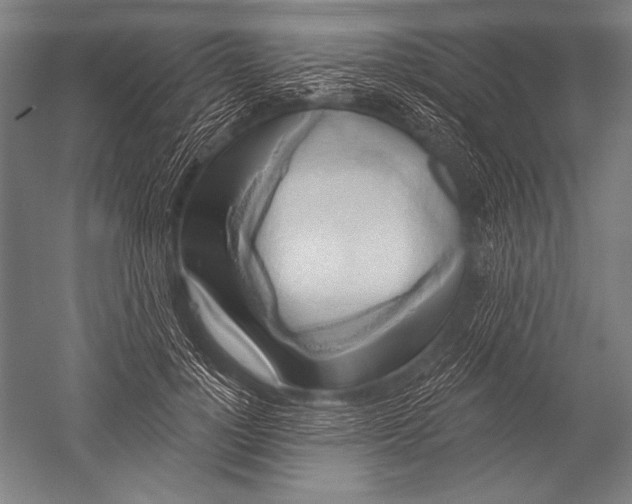 X0000051260748200507082216