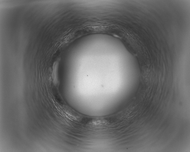 X0000051260752200507082217