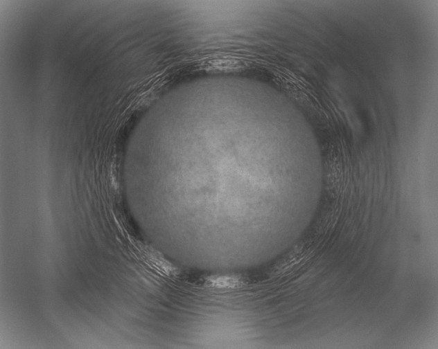 X0000051260755200507082217