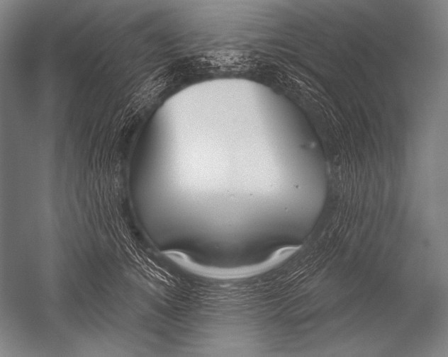 X0000051260756200507082217