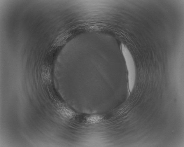 X0000051260759200507082217