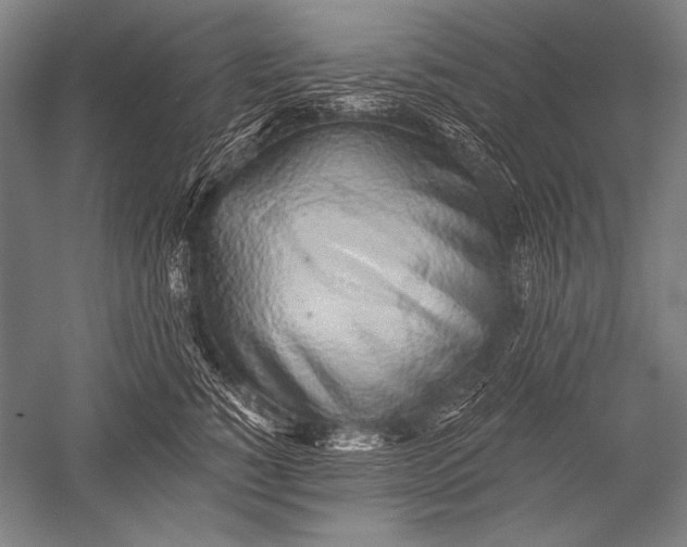 X0000051260760200507082217
