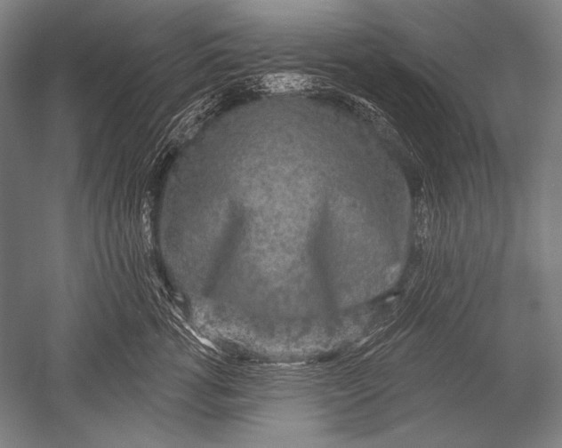 X0000051260762200507082217