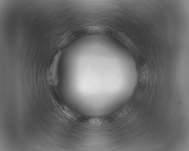 X0000051260764200507082217