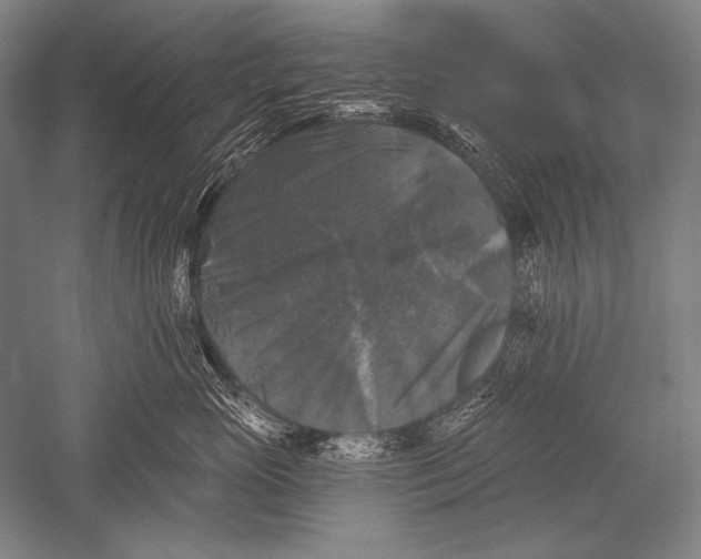 X0000051260765200507082217