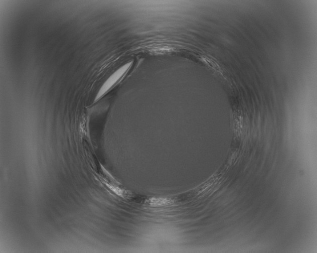 X0000051260766200507082217