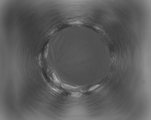 X0000051260767200507082217