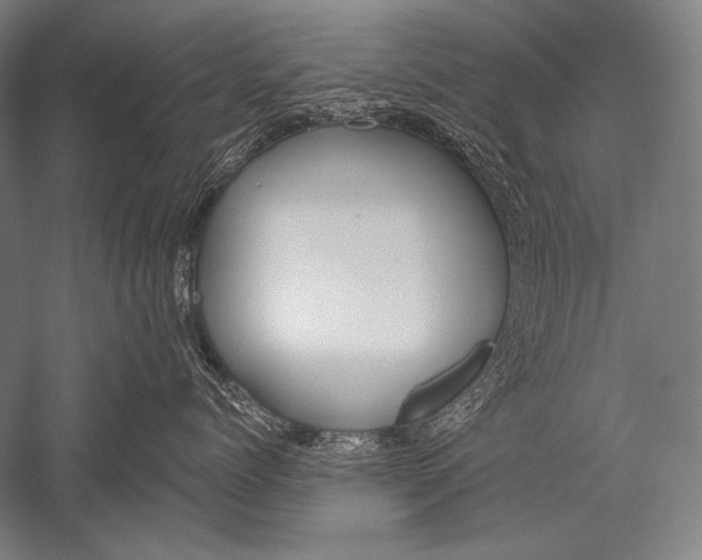 X0000051260768200507082217