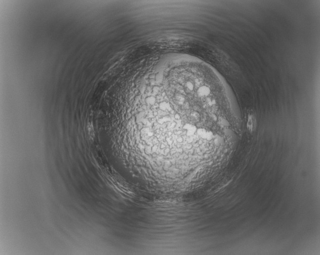 X0000051260771200507082216