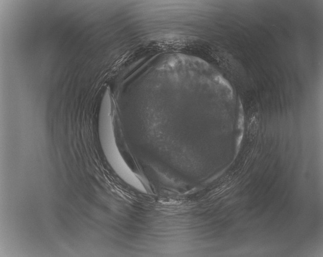 X0000051260772200507082216