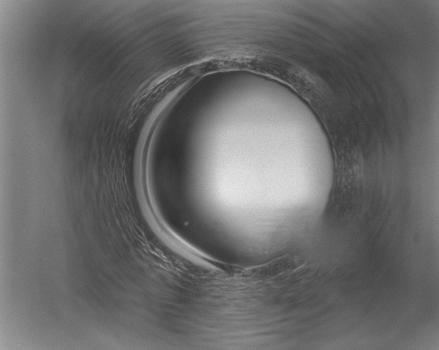 X0000051260773200507082216