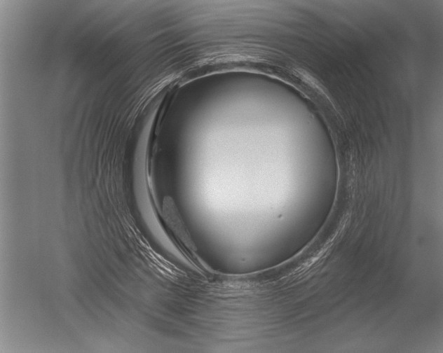 X0000051260777200507082216