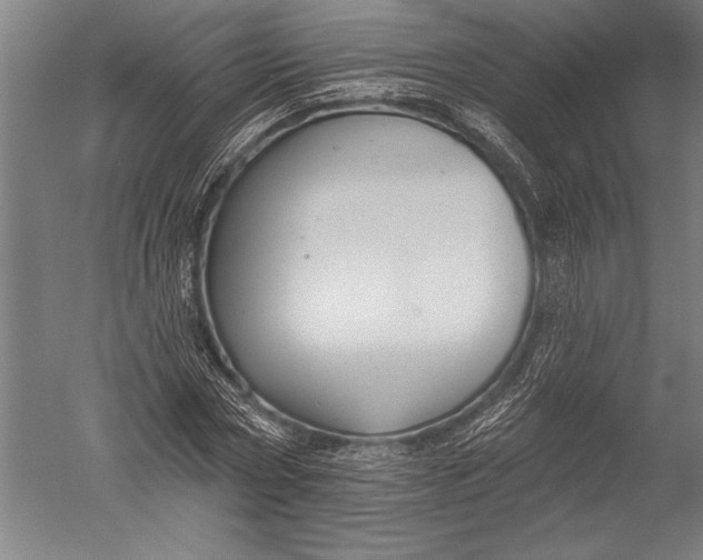 X0000051260778200507082216