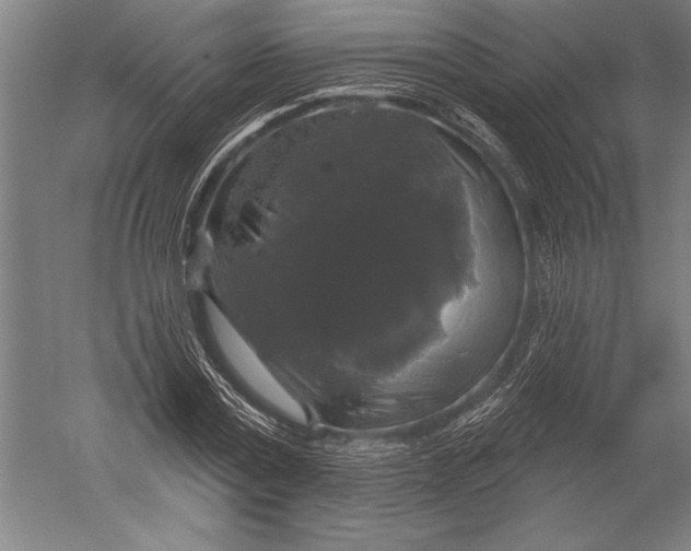 X0000051260779200507082216