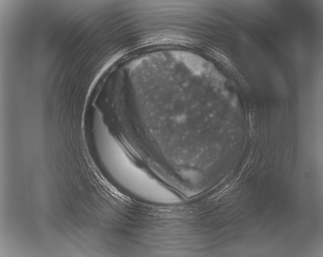 X0000051260780200507082216