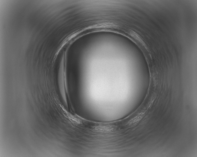 X0000051260781200507082216