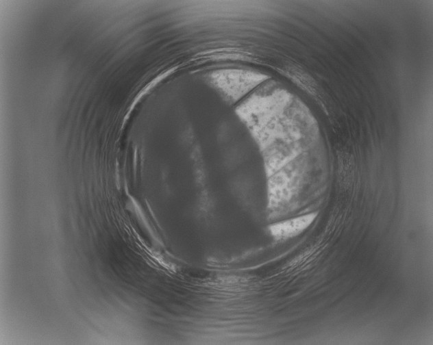 X0000051260782200507082216