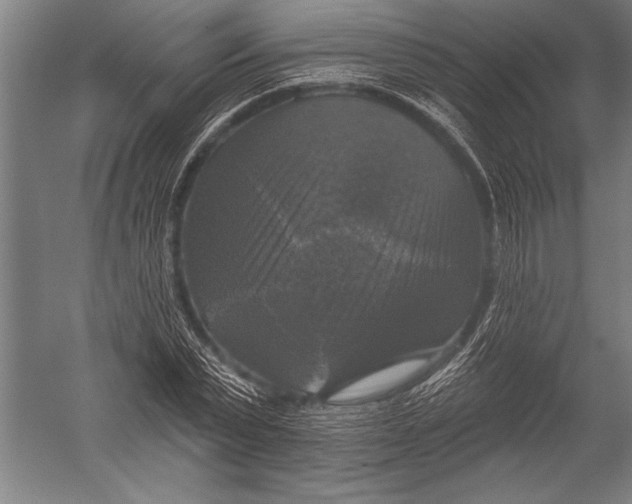 X0000051260783200507082216
