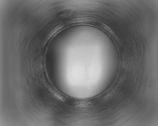 X0000051260786200507082216