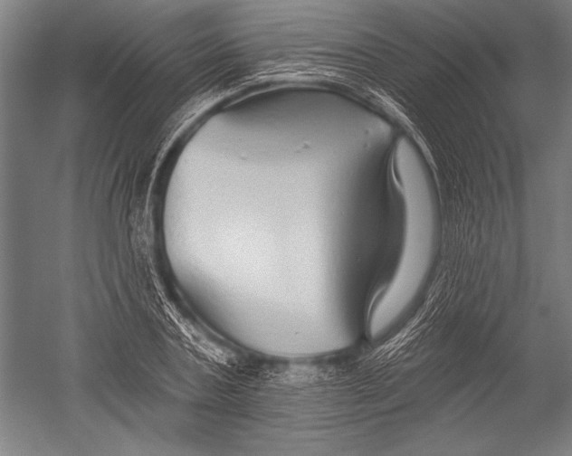 X0000051260787200507082216