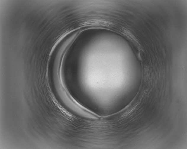 X0000051260788200507082216