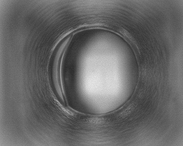 X0000051260789200507082216