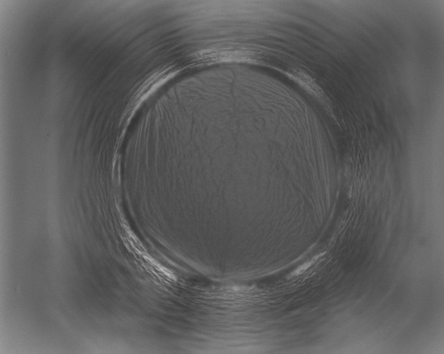 X0000051260790200507082216