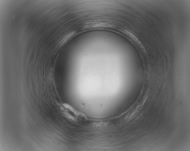 X0000051260793200507082216