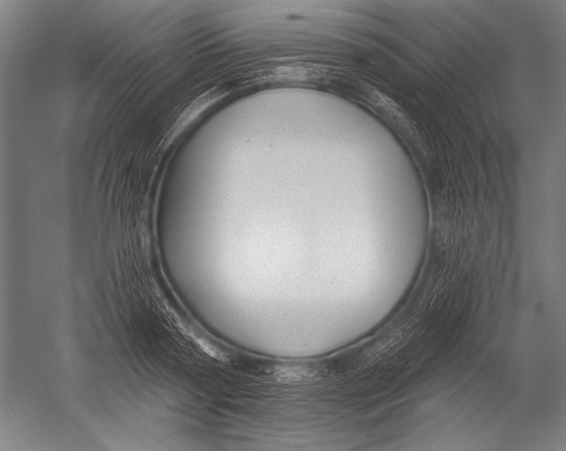 X0000051260794200507082216