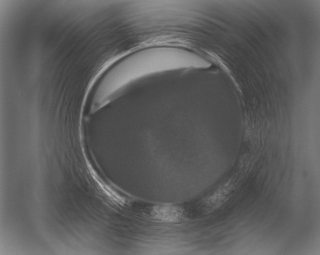 X0000051260795200507082216
