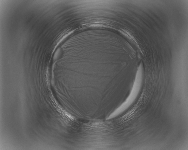 X0000051260798200507082215
