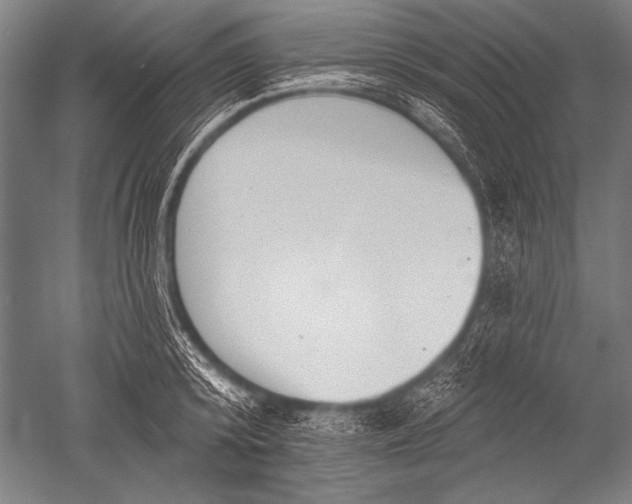 X0000051260800200507082215