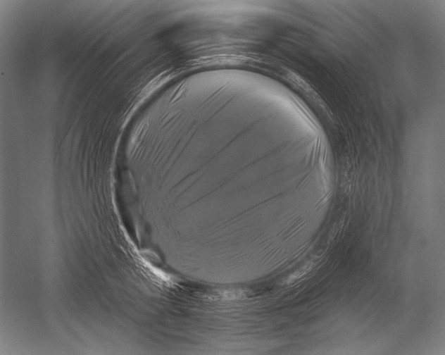 X0000051260802200507082215