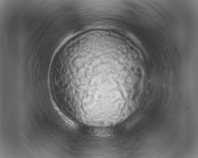 X0000051260803200507082215