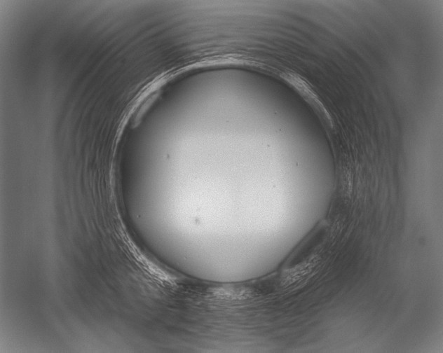 X0000051260805200507082215