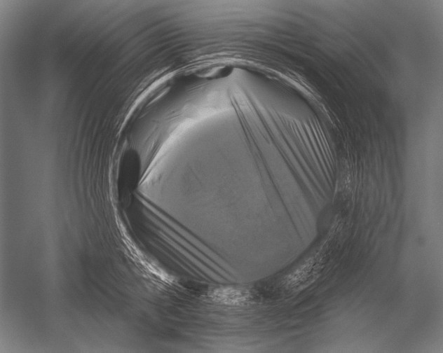 X0000051260806200507082215