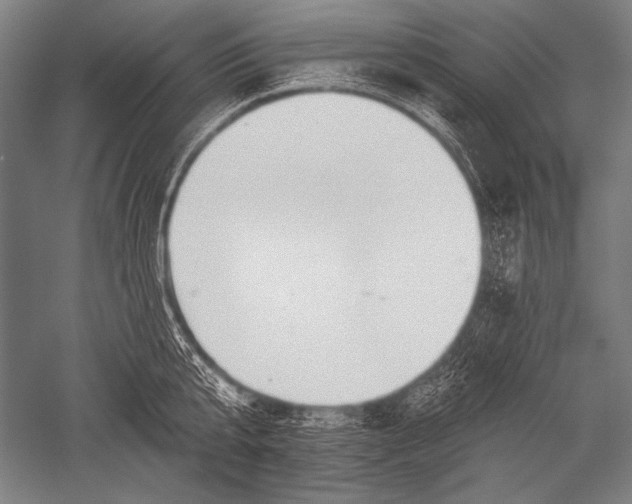 X0000051260807200507082215