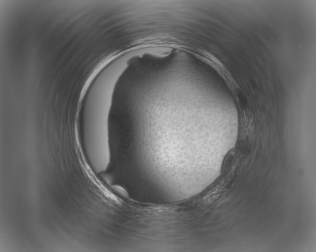 X0000051260812200507082215