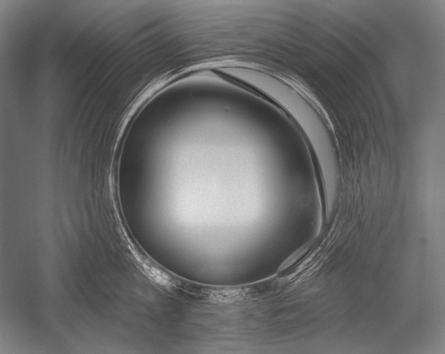 X0000051260813200507082215